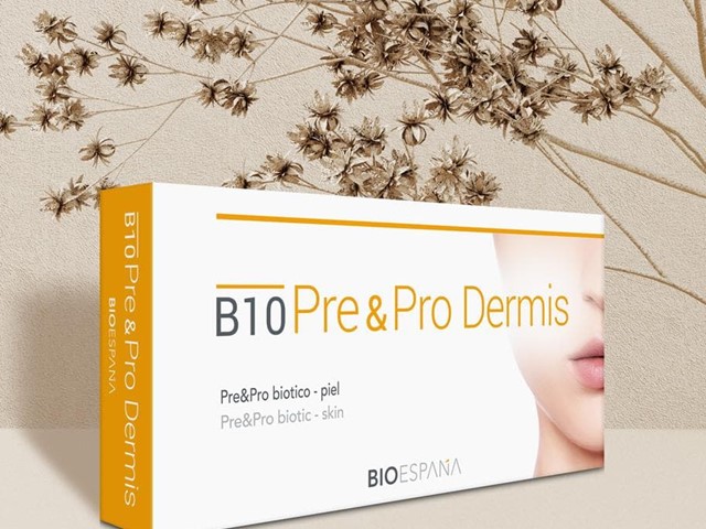 B10  pre y pro dermis