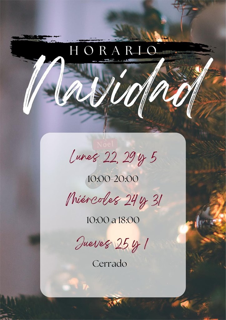 HORARIO NAVIDAD 2025