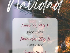 HORARIO NAVIDAD 2025