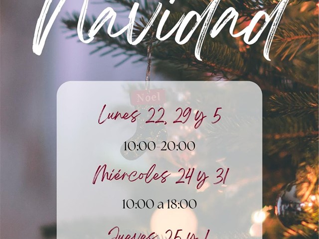 HORARIO NAVIDAD 2025