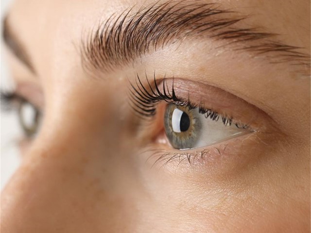 Laminado de cejas + tratamiento 